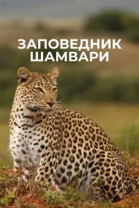 Заповедник Шамвари бесплатно